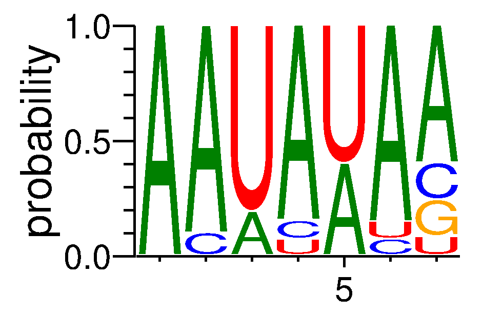 A1CF (10)