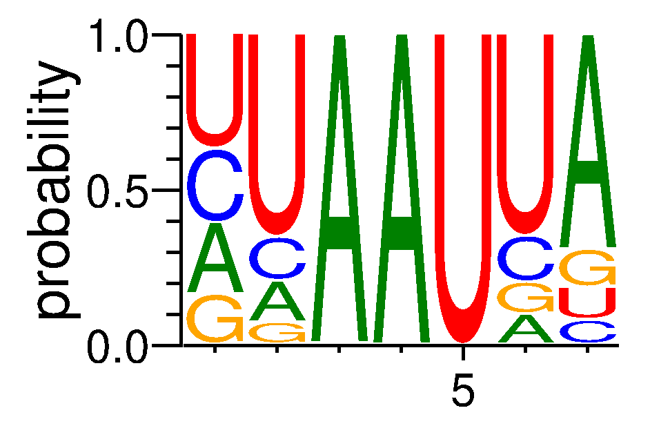 A1CF (6)