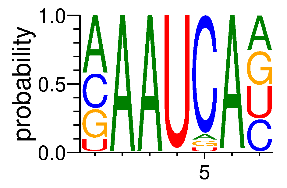A1CF (7)