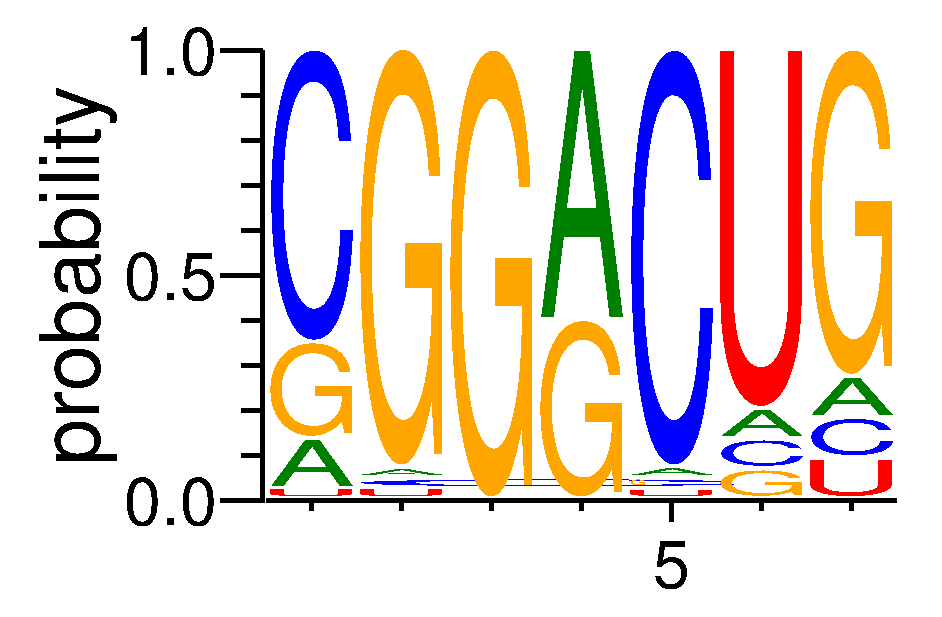 A1CF (8)