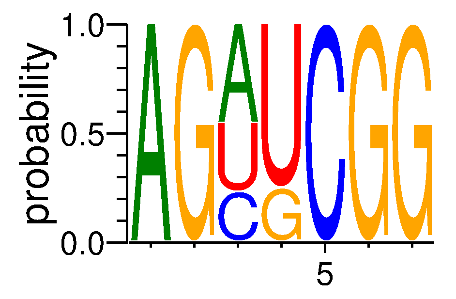 A1CF (9)