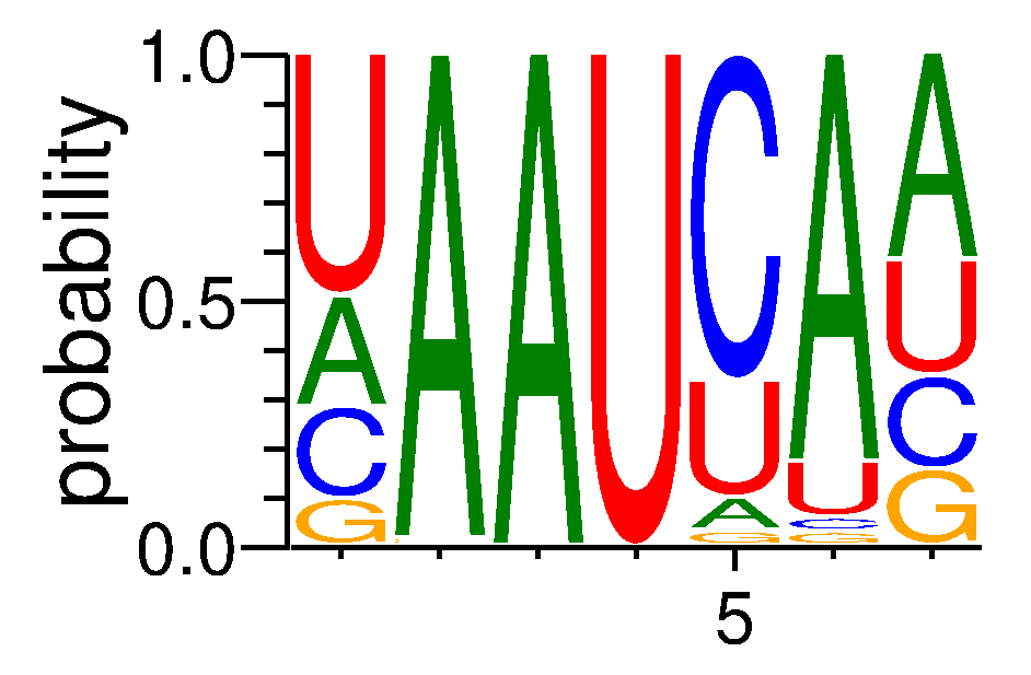 RBM47 (1)
