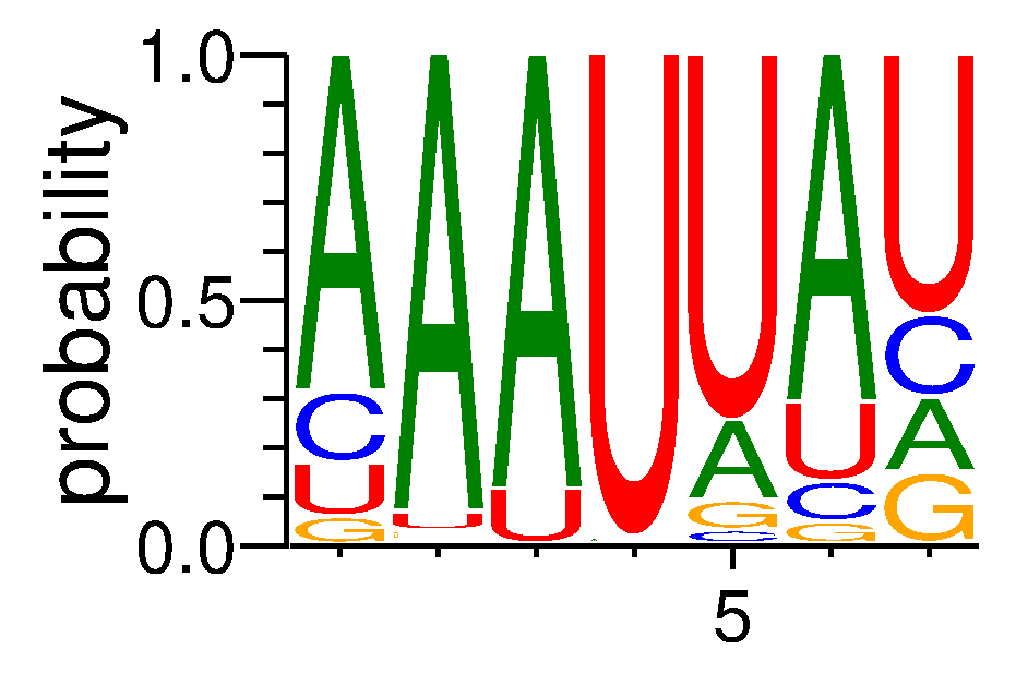 RBM47 (2)