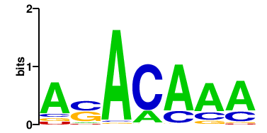 C44B7.2