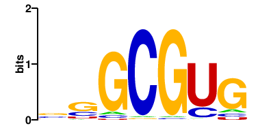 CG33714