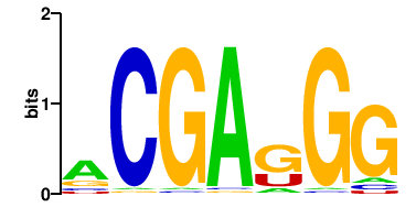 CG4887