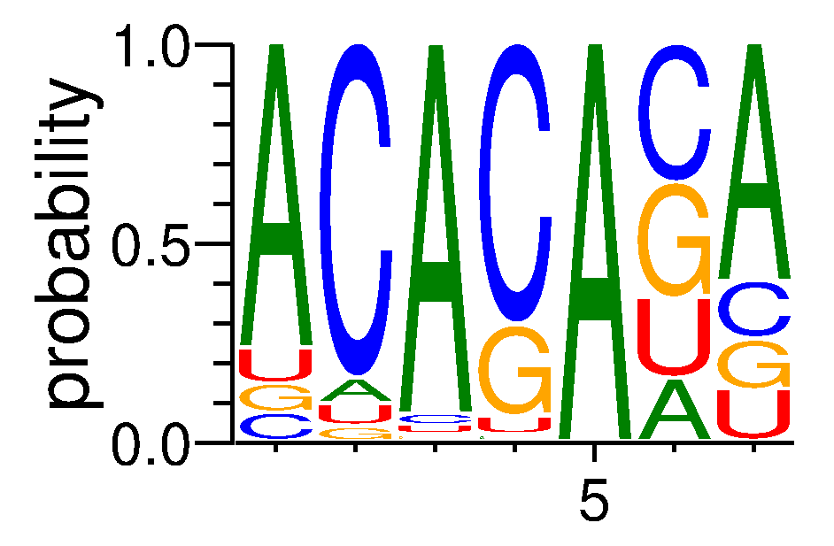 CNOT4 (3)