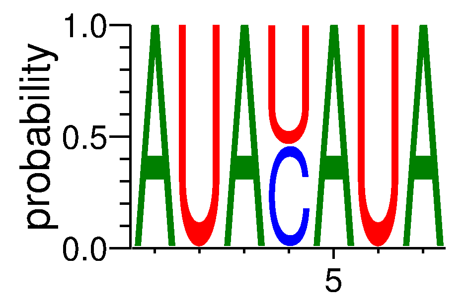 CNOT4 (4)