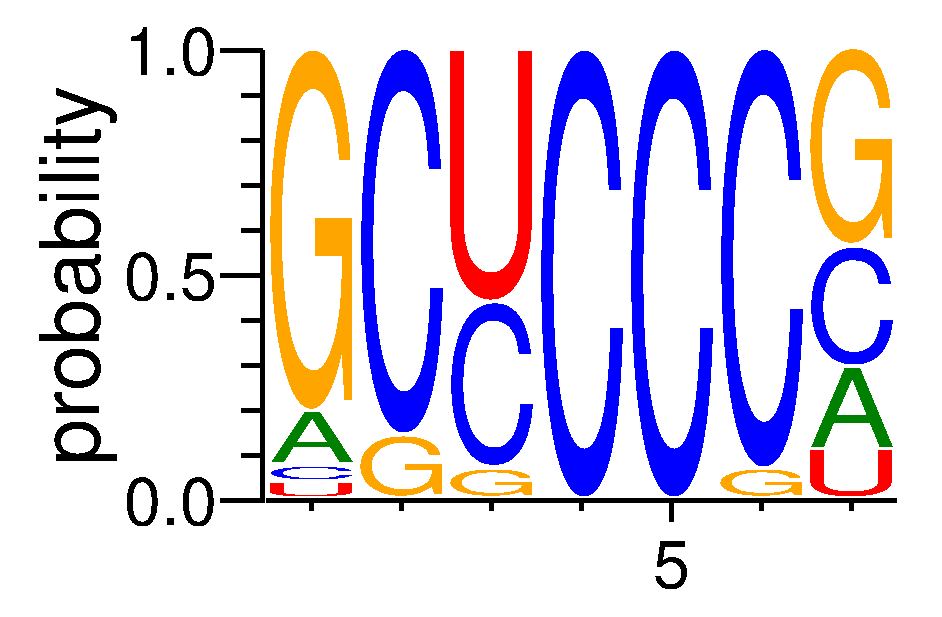 CNOT4 (5)