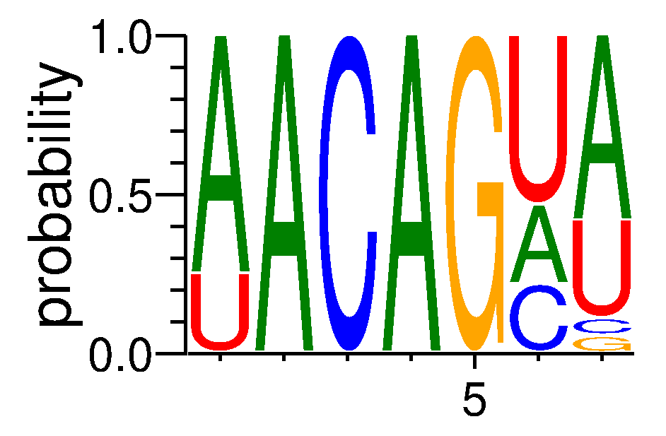 CNOT4 (6)