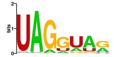 DAZAP1 (1)