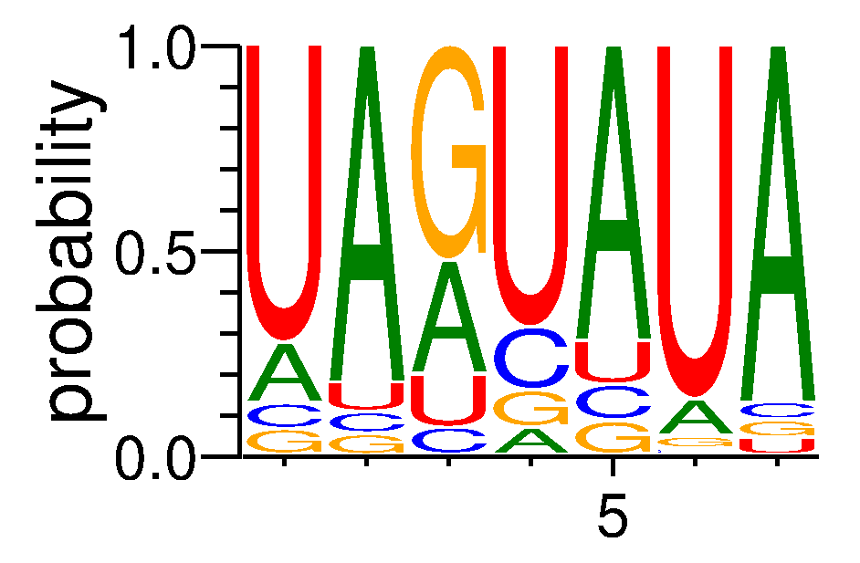 DAZAP1 (2)