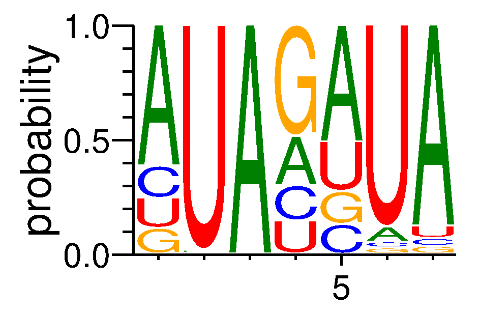 DAZAP1 (3)