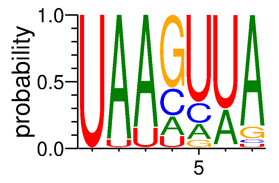 DAZAP1 (4)