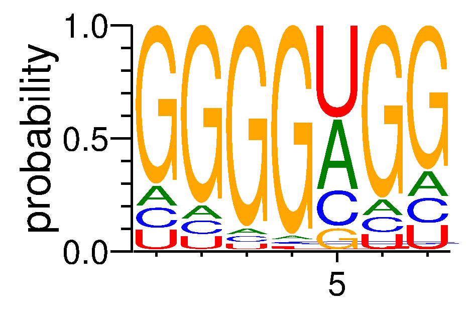 ESRP1 (1)