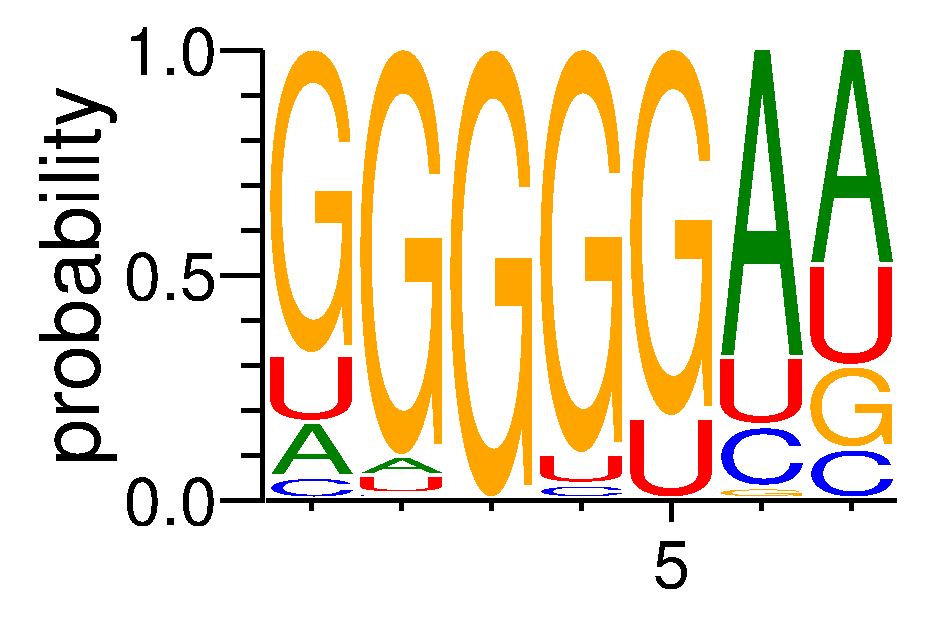 ESRP1 (3)