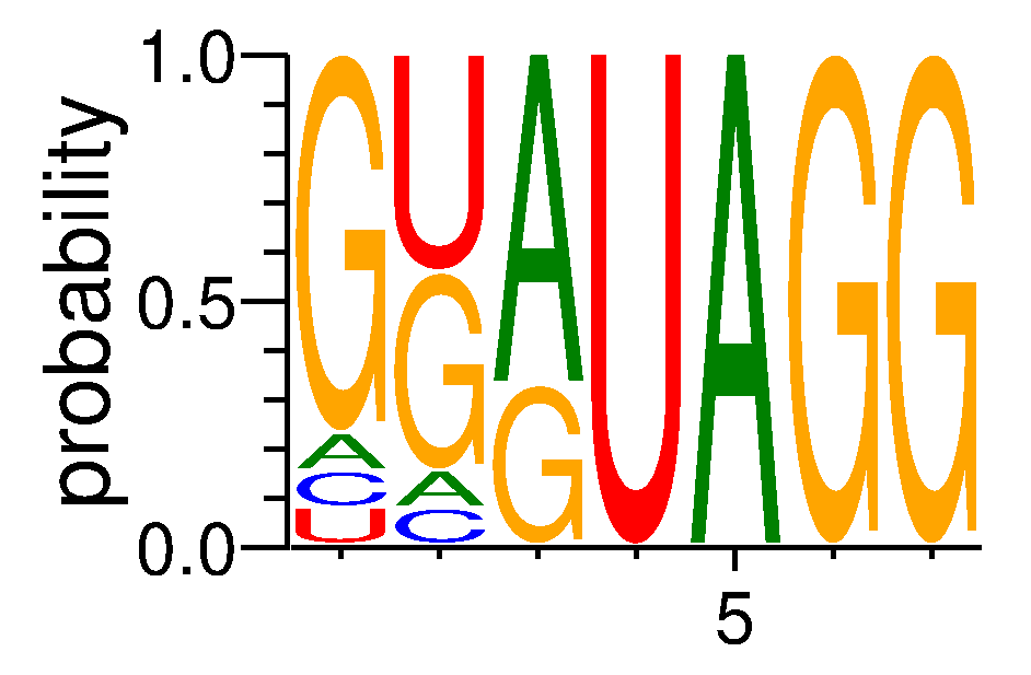 EWSR1 (2)