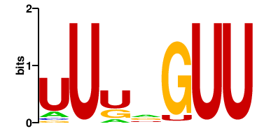 A4QNI8