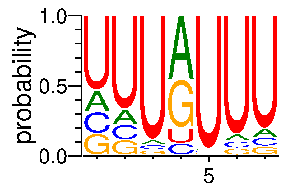 FUBP1 (1)