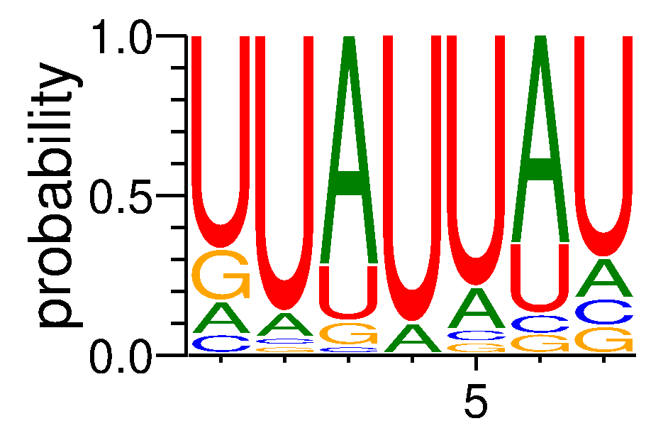 FUBP1 (3)