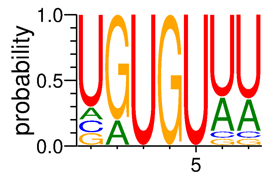 FUBP1 (4)