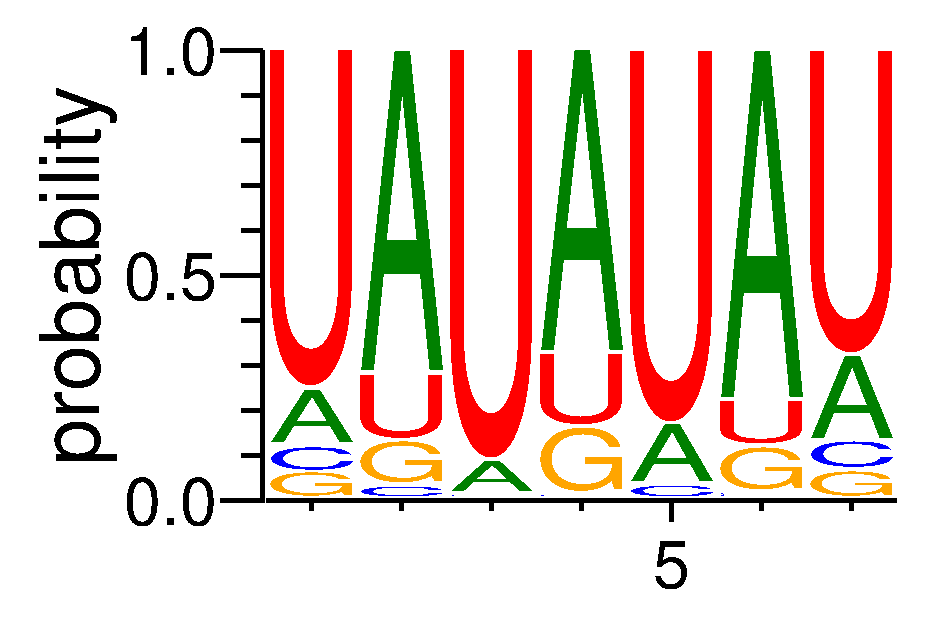 FUBP3 (1)