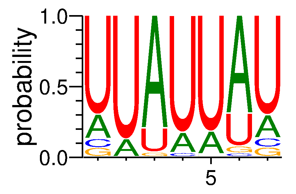 FUBP3 (2)