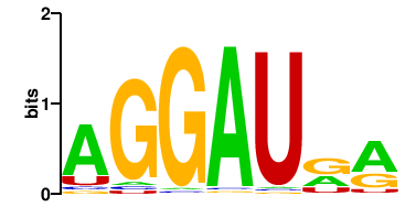 G3BP2