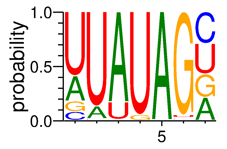 HNRNPA0 (5)