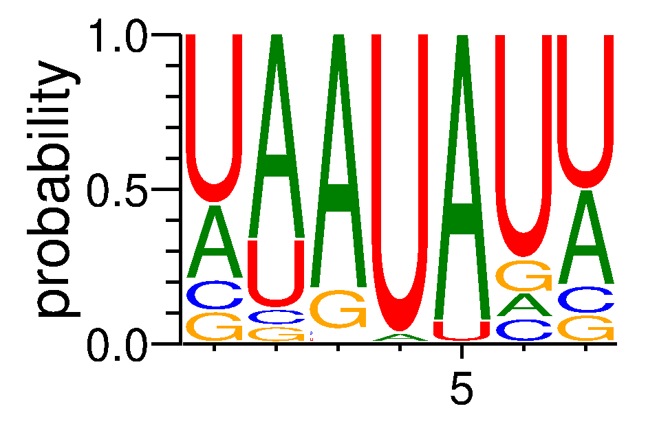 HNRNPDL (2)