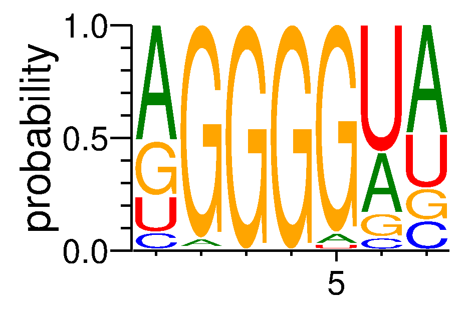 HNRNPF (3)