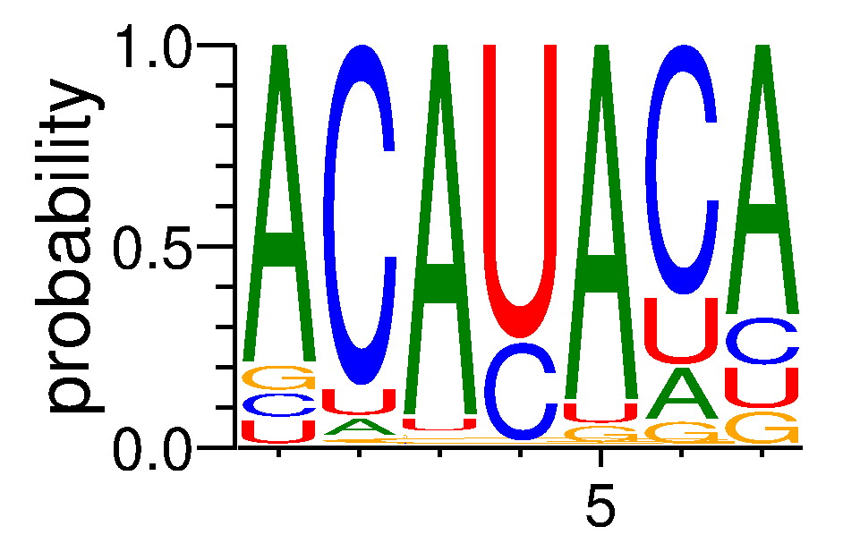 HNRNPL (3)