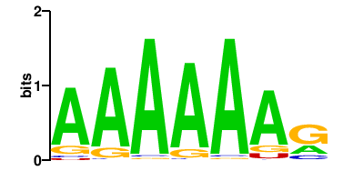 Nab2