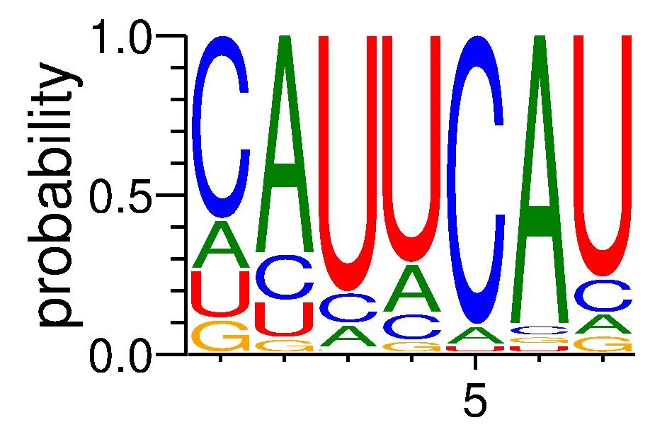 NOVA1 (1)