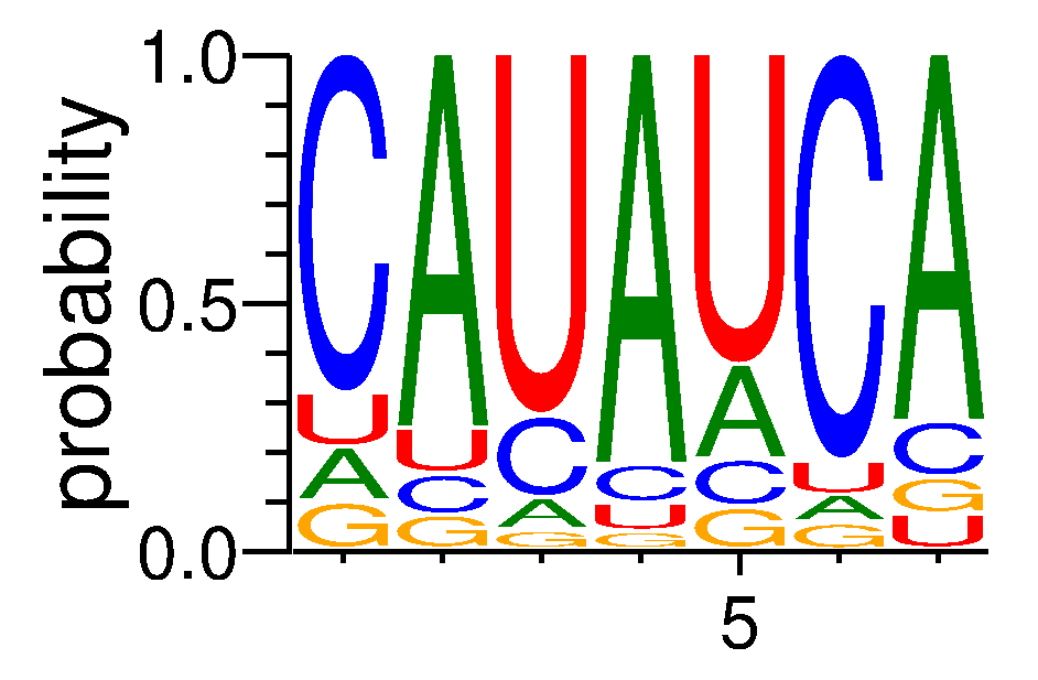 NOVA1 (2)