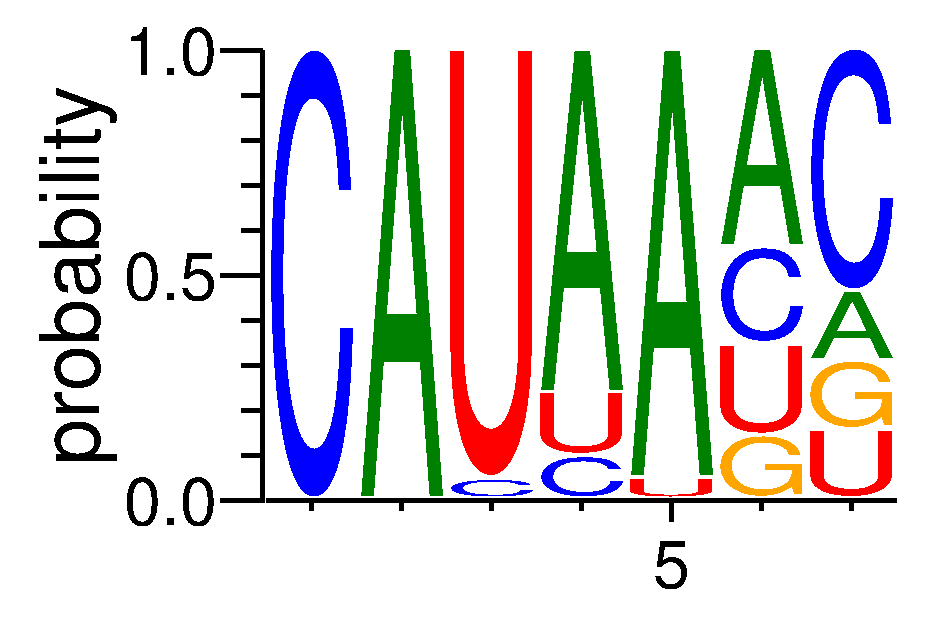 NOVA1 (3)