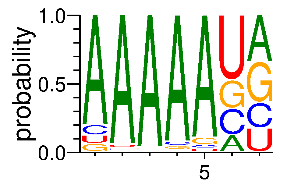 NUPL2 (1)