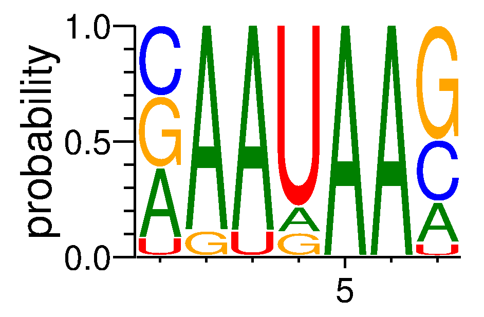 NUPL2 (6)