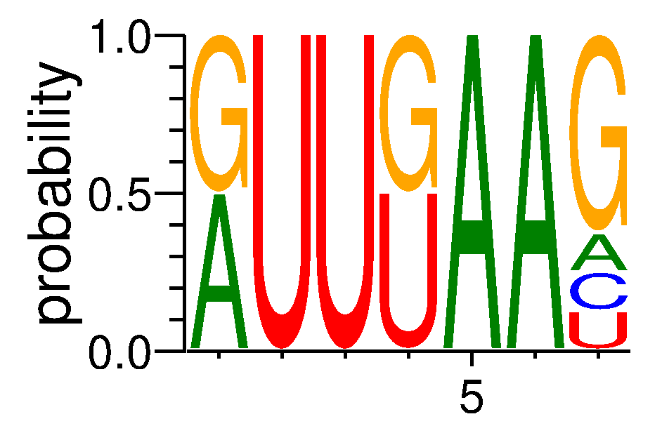 NUPL2 (7)