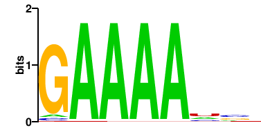 PABPC4