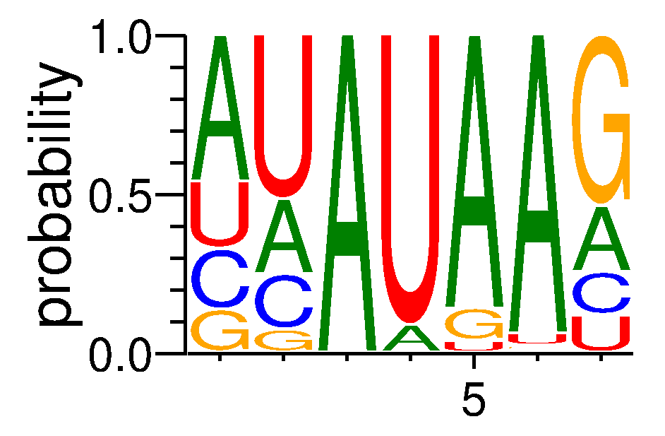 PRR3 (2)