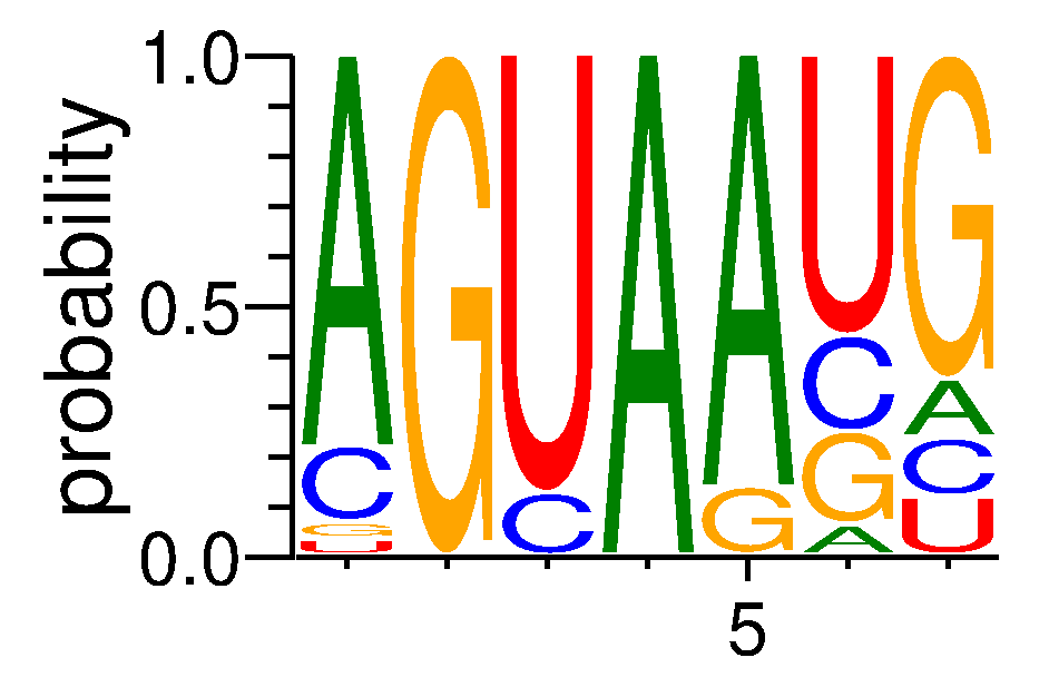 SFPQ (6)