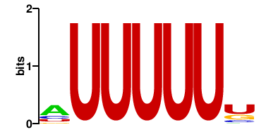 RALY;HNRNPC (1)