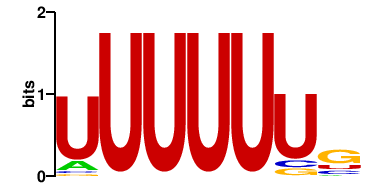 RALY;HNRNPC (2)
