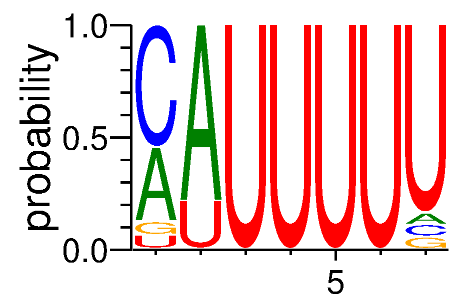 HNRNPC (2)