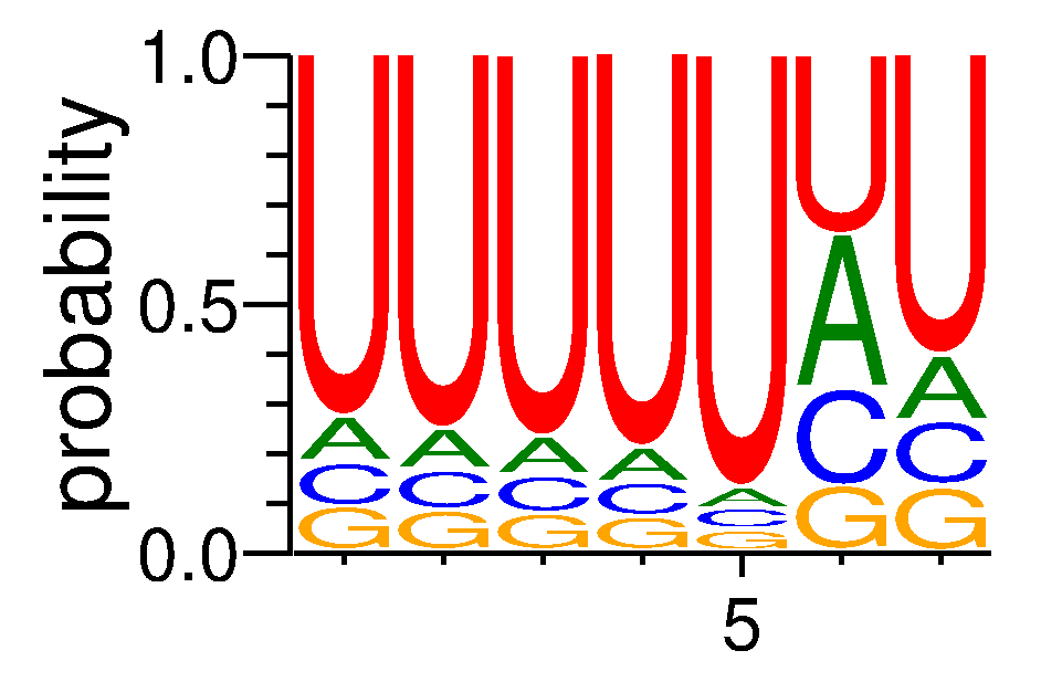 HNRNPCL1 (1)