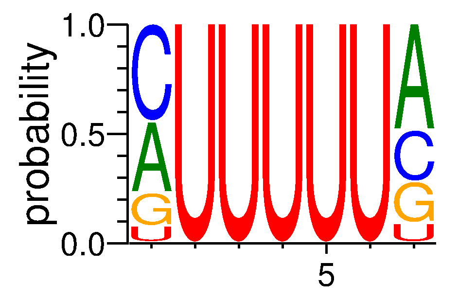 HNRNPCL1 (2)