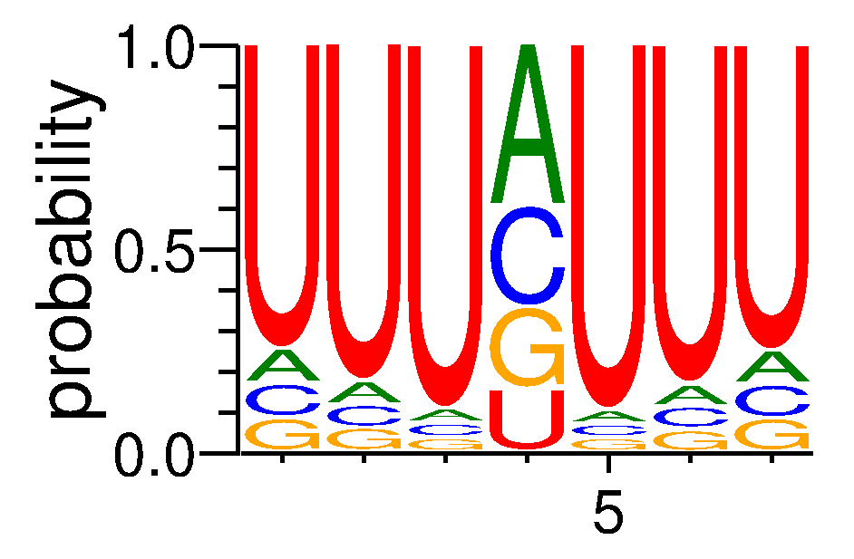 RBM15B (1)