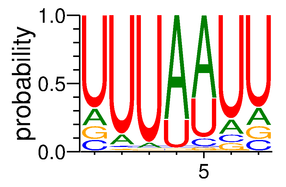 RBM15B (2)