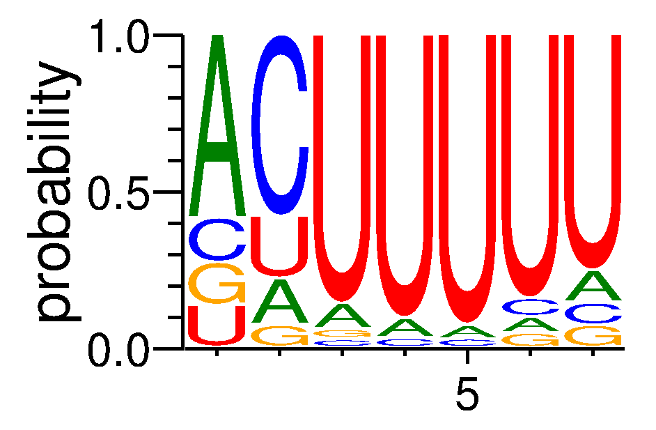 RBM15B (3)
